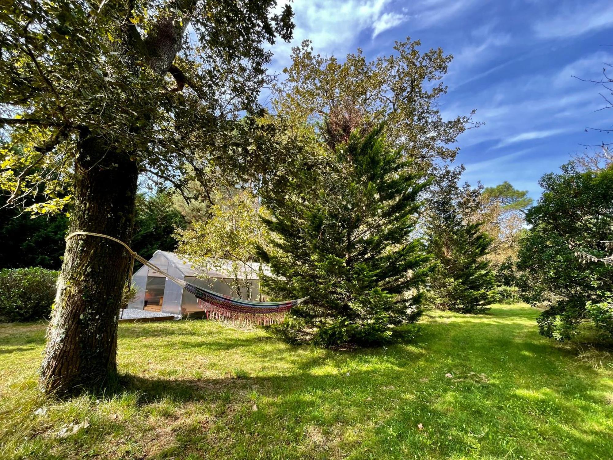 Cabane Au Milieu Des Pins - Domaine Temali 拉布耶尔 外观 照片